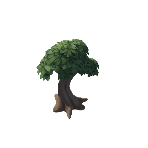 Oak_Tree_c (4)